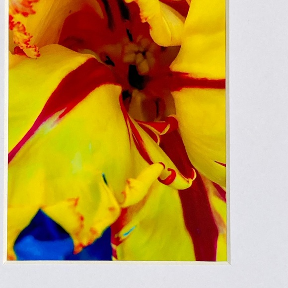 “JAUNE” ~ ORIGINAL ART by ~ @lisamichellebeckerphotography - Picture 2 of 12